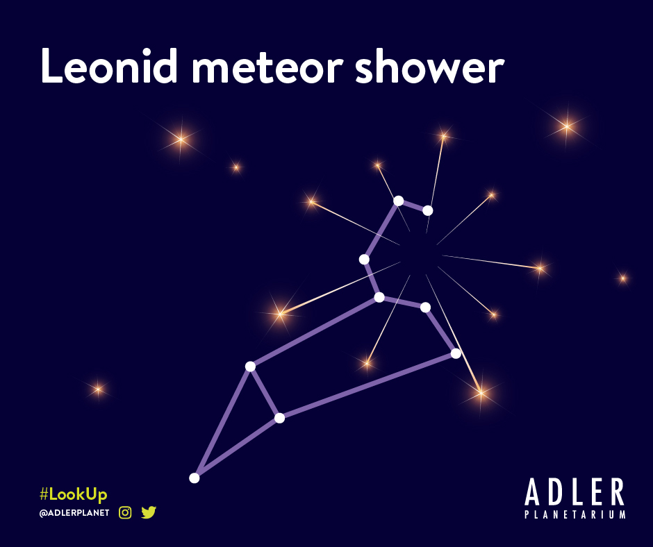 Graphic representation of the Leonid meteor shower with the constellation Leo.