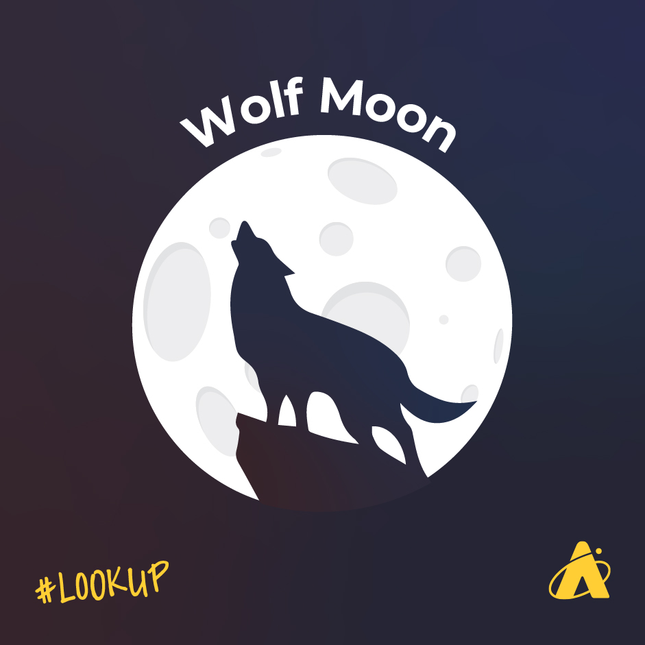 The January Full Moon is sometimes referred to as the Wolf Moon.