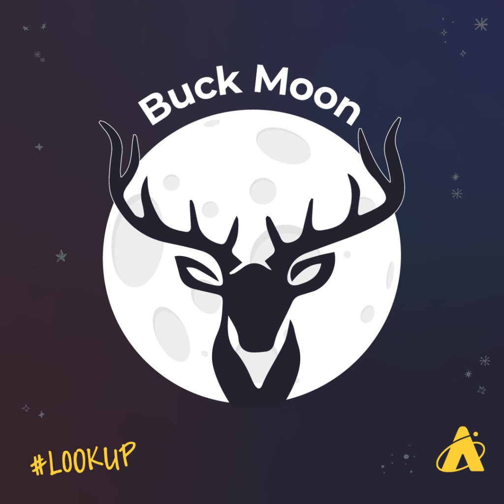Adler Planetarium graphic showing the July Full Moon known as the Buck Moon.