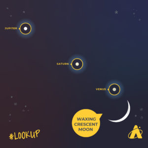 Adler Planetarium’s look up graphic showing the night sky with Jupiter in the top left corner, Saturn in the middle and Venus in the lower right corner with a white waxing crescent moon. 