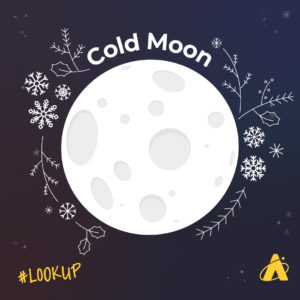 Adler Planetarium’s look up graphic showing the full Moon. The words “Cold Moon” appear in white above the full Moon with graphics of snowflakes, branches and hollies. 
