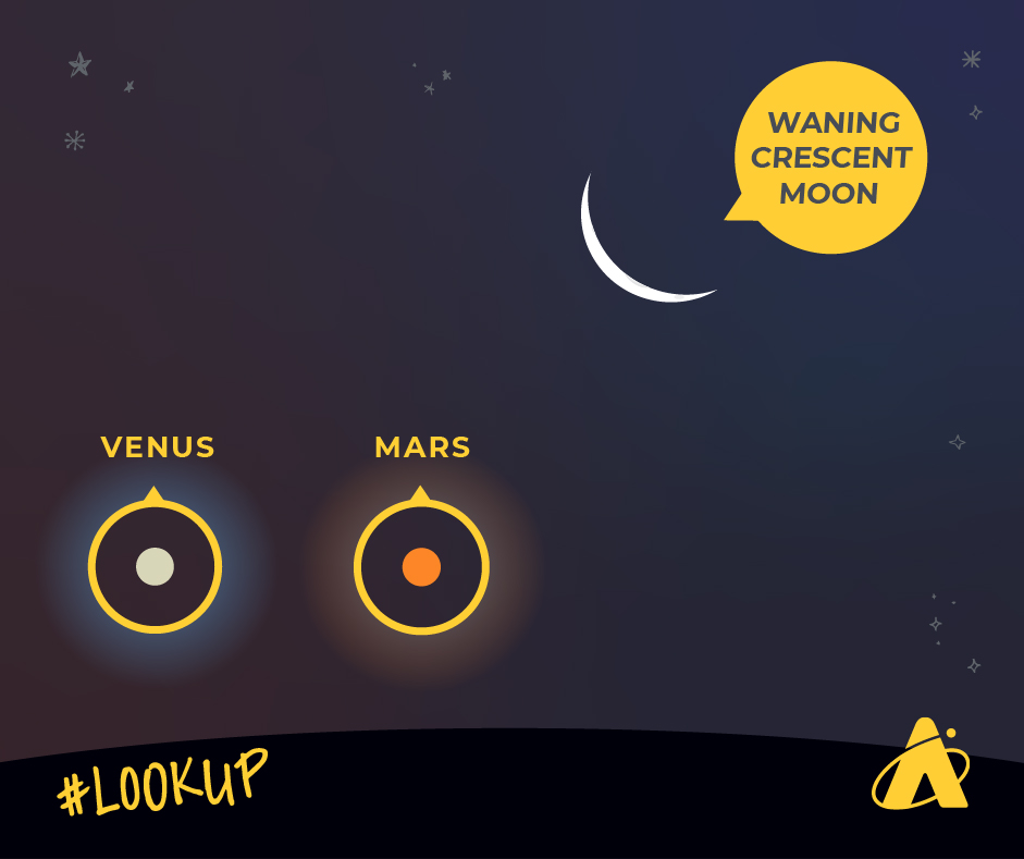 Adler Planetarium’s look up graphic, showing Venus as a blue dot on the lower left part of the screen and mars as an orange dot to the right of venus. The waning crescent moon is in the right part of the sky. 