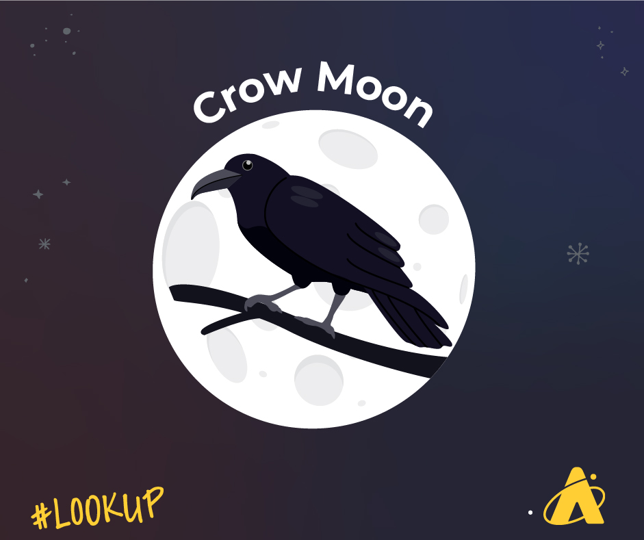 Adler Planetarium's Lookup graphic of a full Moon with a black crow on a stick in front of the full Moon. The words "Crow Moon" in white are above the moon.