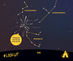 Adler Planetarium's Lookup graphic showing the Perseid Meteor shower. The constellation Cassiopeia is at the top center of the image, Andromeda constellation is in the right corner, and Perseus constellation is in the center pointed down towards the horizon. Meteors are depicted as long lines and dashes coming from the point in Perseus. 