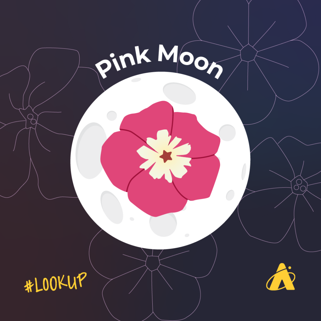 Adler Planetarium Infographic depicting the full Moon on April 5, nicknamed the Pink Moon.