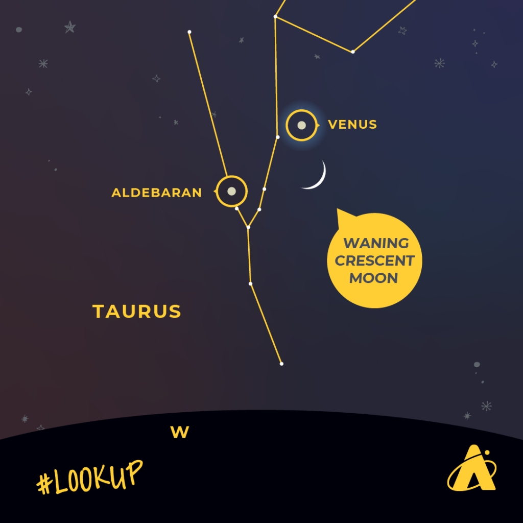 Adler Planetarium Infographic depicting Venus and a waning crescent Moon appearing near the constellation Taurus the Bull in April 2023.