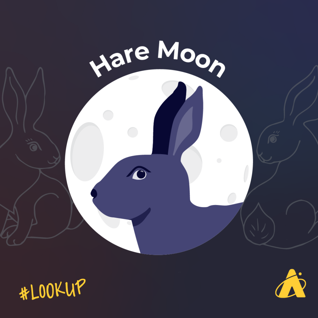 Adler Planetarium infographic depicting the full Moon, known as the Hare Moon, on May 5, 2023
