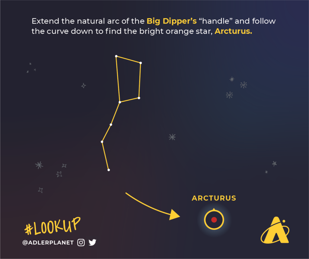 Adler Planetarium infographic depicting how to use the Big Dipper's to find Arcturus. The Big Dipper's "handle" points to the star Arcturus and you can use the method above to find Arcturus in the spring and summer months in Chicago when it's above the horizon.