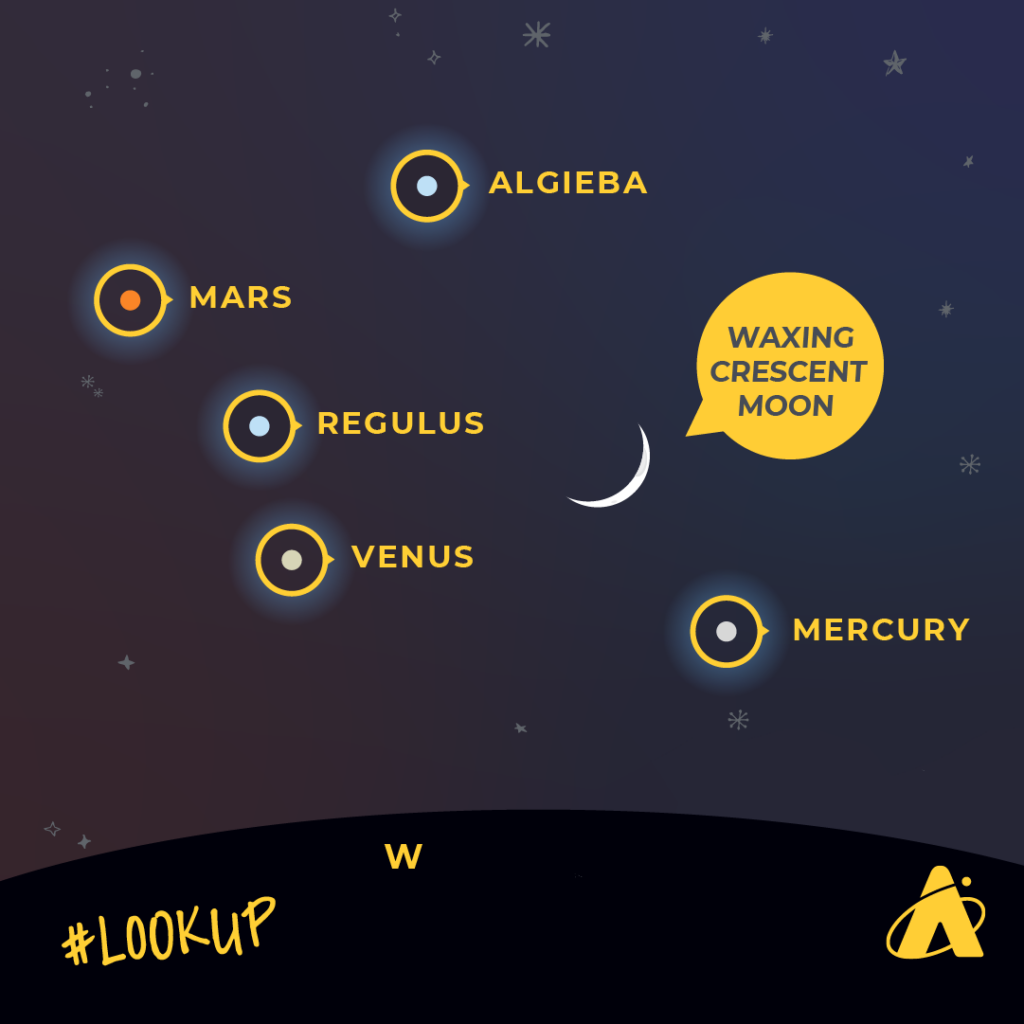 Adler Planetarium Infographic depicting the planets Mars, Venus, and Mercury nearby the stars Regulus and Algieba of the zodiac constellation Leo the Lion, and a waxing crescent Moon. The grouping will appear in the western sky on July 19–2-, 2023. 