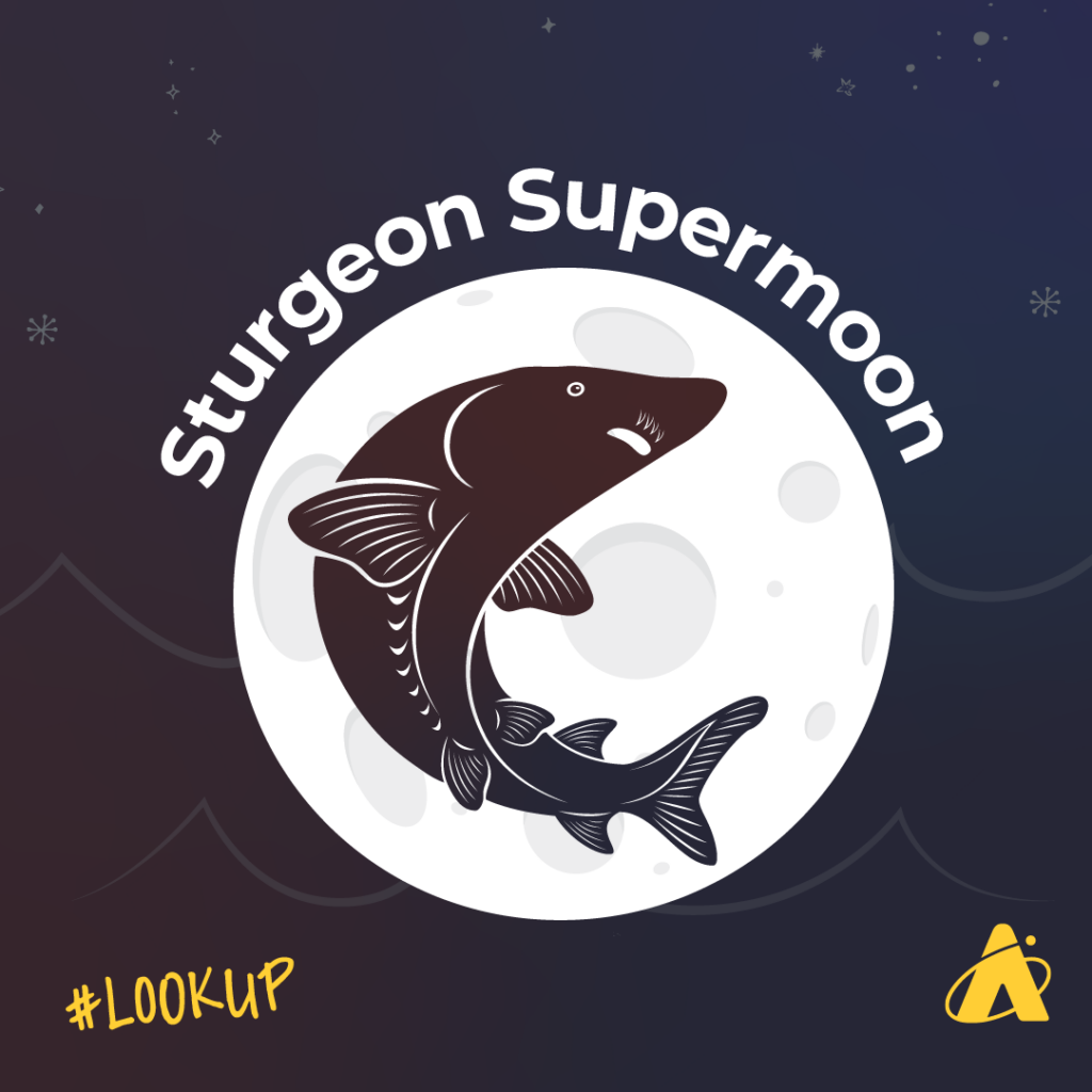 Adler Planetarium infographic depicting the first full Moon of August 2023 that rises on August 1, 2023 and is nicknamed the Full Sturgeon Super Moon.
