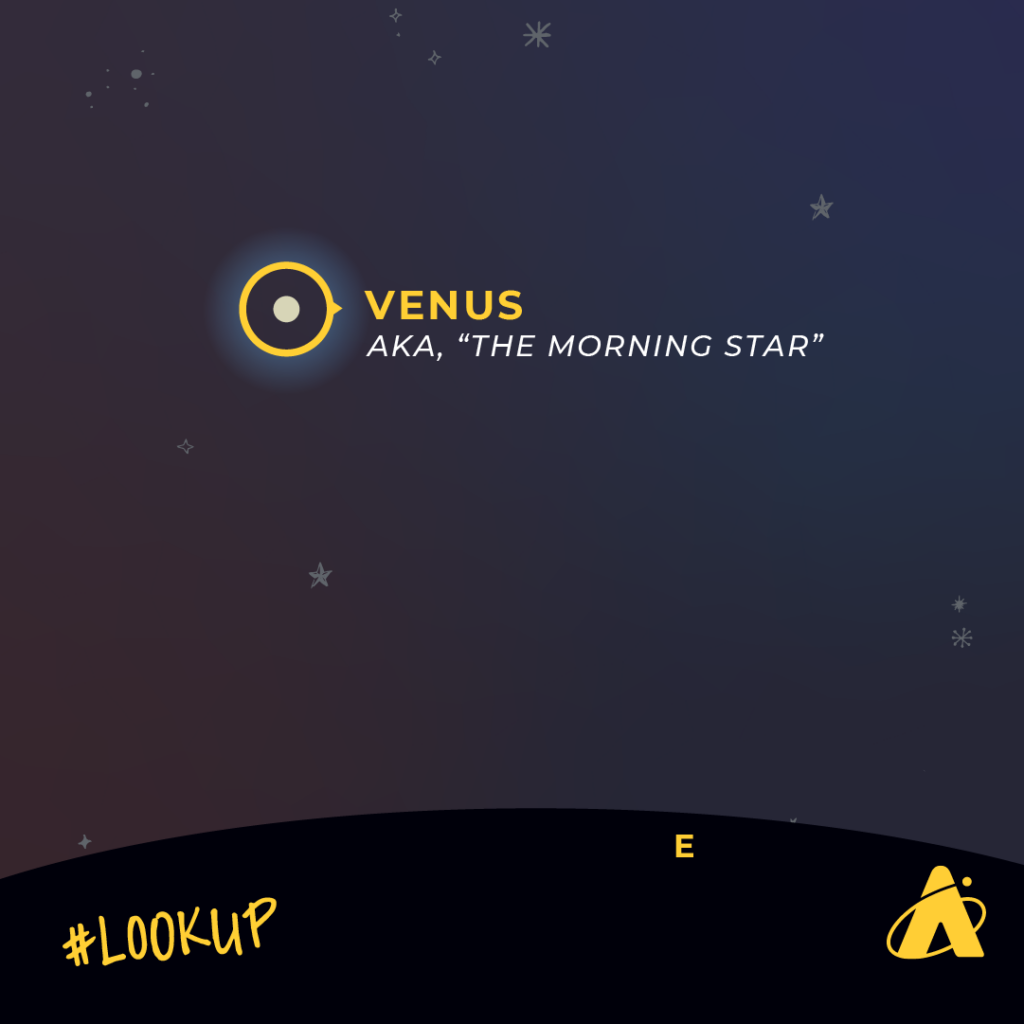 Adler Planetarium infographic depicting Venus rising in the eastern, predawn sky, known as the Morning Star, at the end of August 2023.