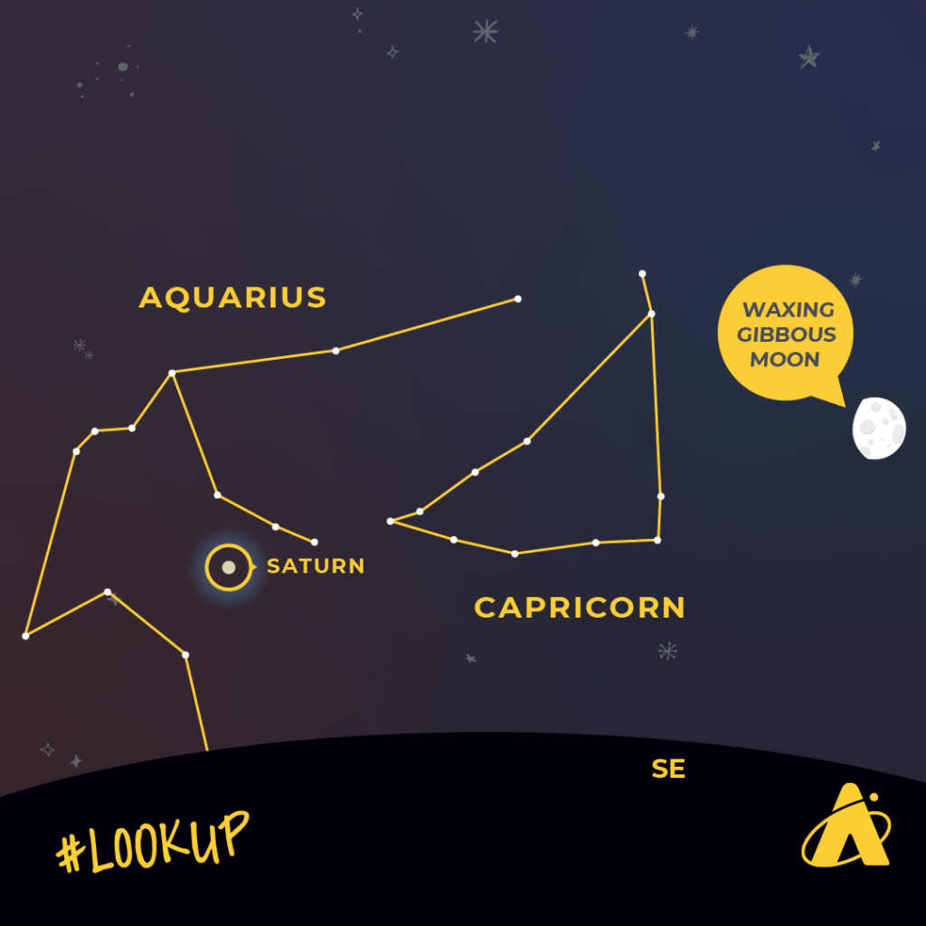 Adler Planetarium infographic depicting Saturn reaching opposition on August 27, 2023, rising in the southeast with the zodiac constellations Aquarius and Capricorn.