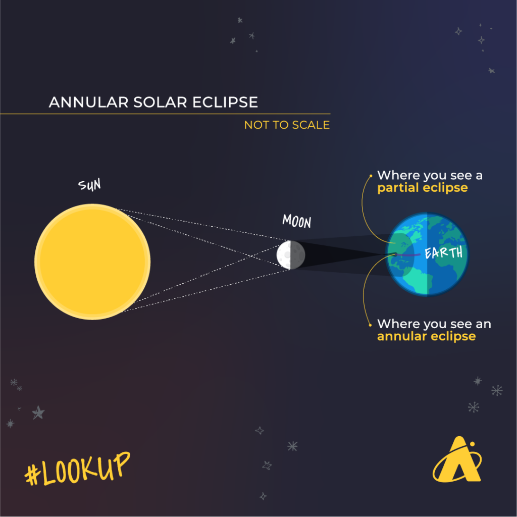 Adler Planetarium infographic depicting an "Annular Solar Eclipse"