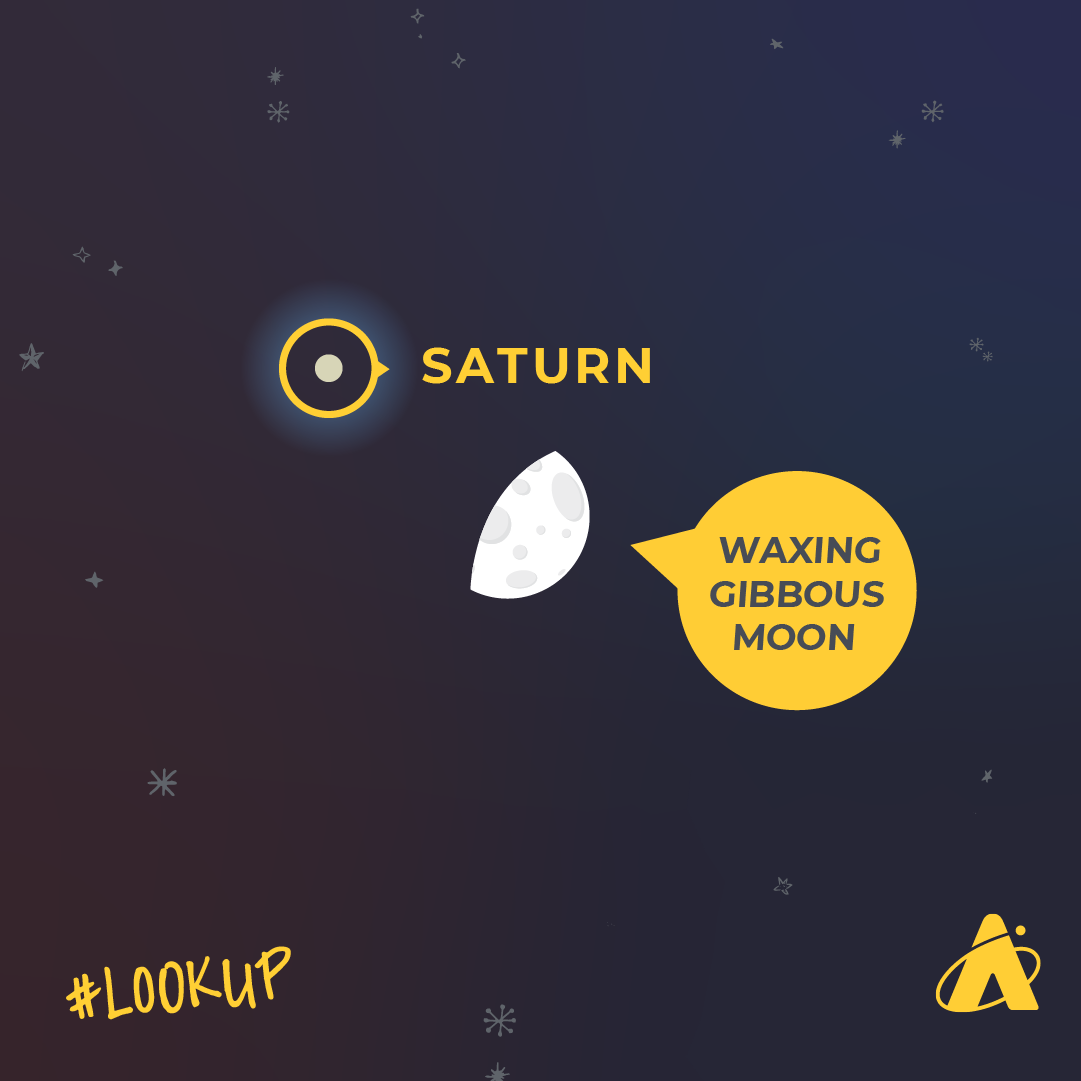 Adler Planetarium infographic illustrating the planet Saturn close to the edge of a waxing gibbous Moon on the evenings of October 23–24, 2023.