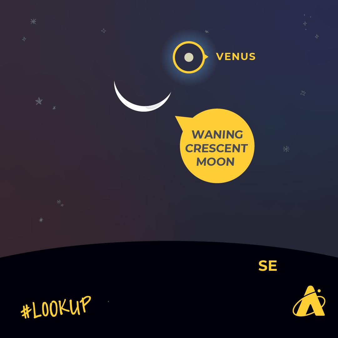 Adler Planetarium infographic illustrating the conjunction of Venus and a waning crescent Moon in the southeastern sky in the early morning of November 9, 2023.