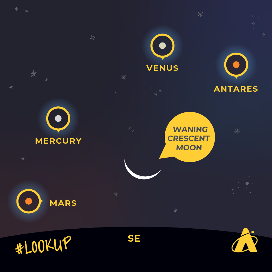 Adler Planetarium infographic depicting Mars, Mercury, Venus, and Antares near a slim waning crescent Moon on January 9, 2024. 