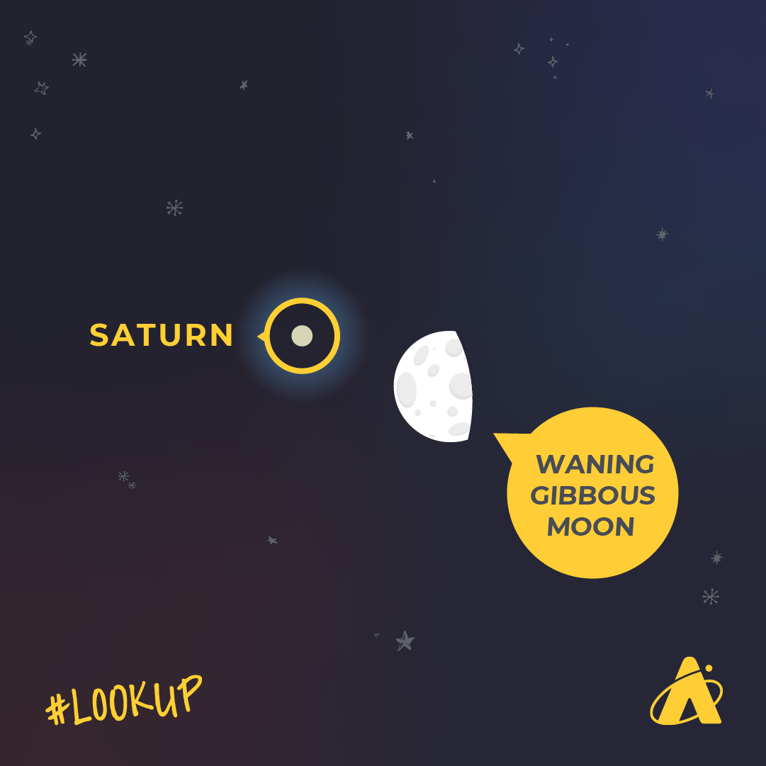 Adler Planetarium infographic depicting Saturn to the left of the waning gibbous Moon on June 27, 2024 during morning twilight.