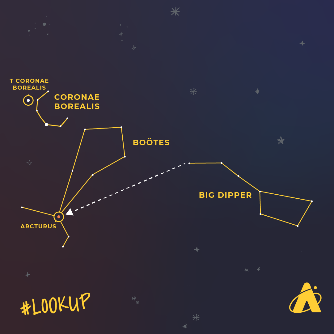 Adler Planetarium infographic depicting where to see the nova T Coronae Borealis, expected to be visible mid-2024.