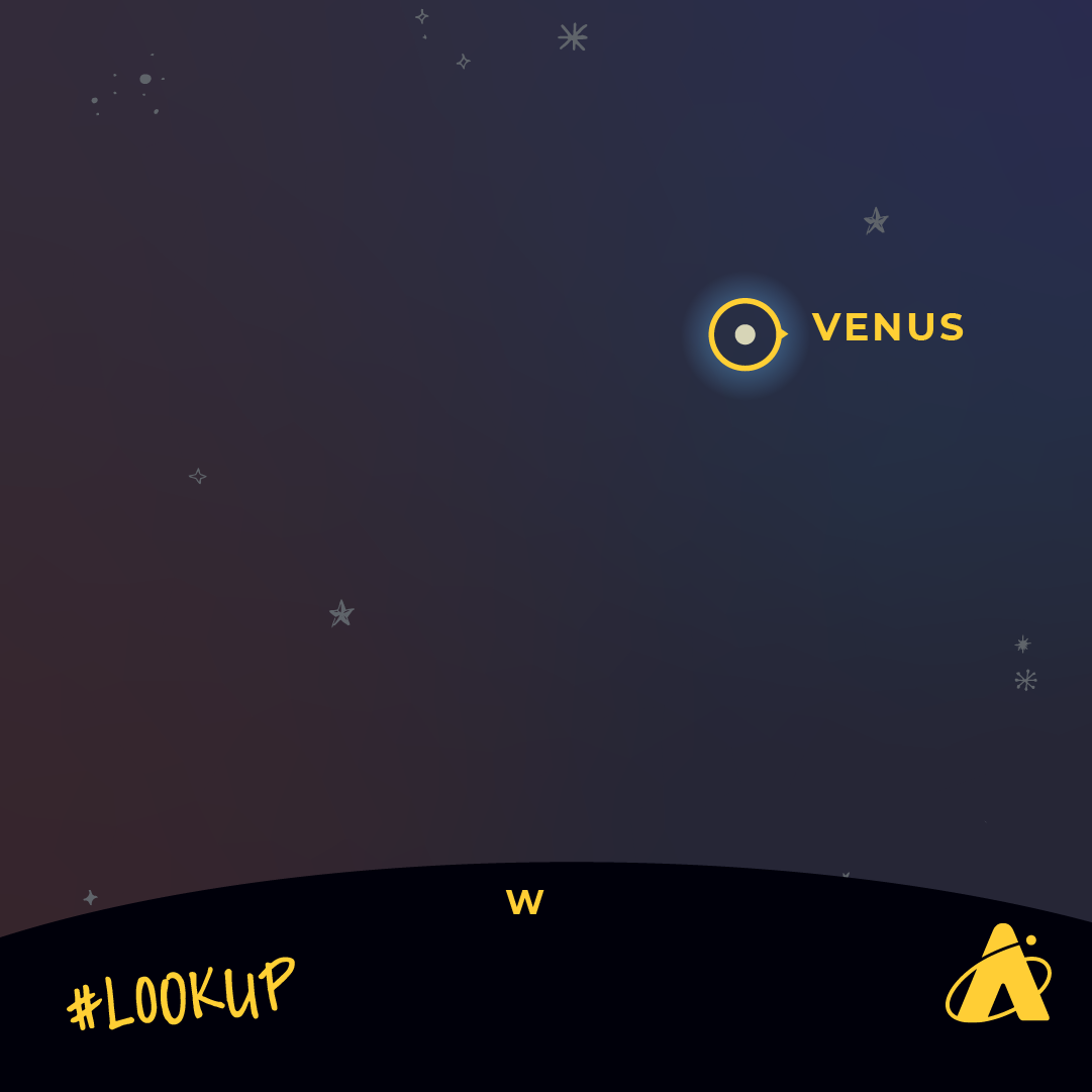 Adler Planetarium infographic depicting Venus on the western horizon. Venus appears as a bright spot with a yellow circle identifying it, atop a dark blue background with hand drawn stars. The text “#LOOKUP” is in the bottom left corner and the Adler Planetarium’s logo is in the bottom right corner.