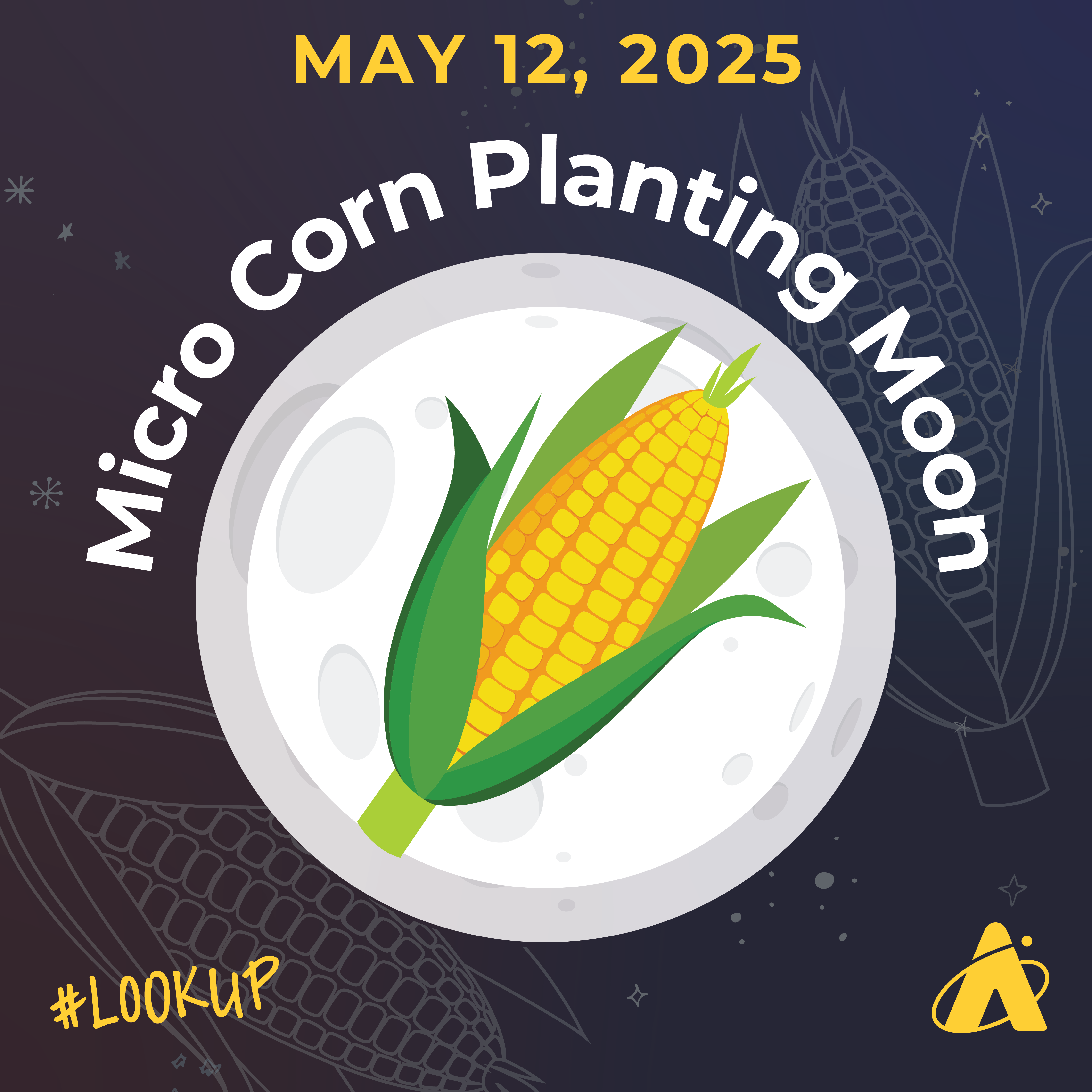 Adler Planetarium infographic depicting the full Moon in May 2025. Header reads “MAY 12, 2025” and “MICRO CORN PLANTING MOON.” The Moon is in the center, with a large corn cob on its surface.