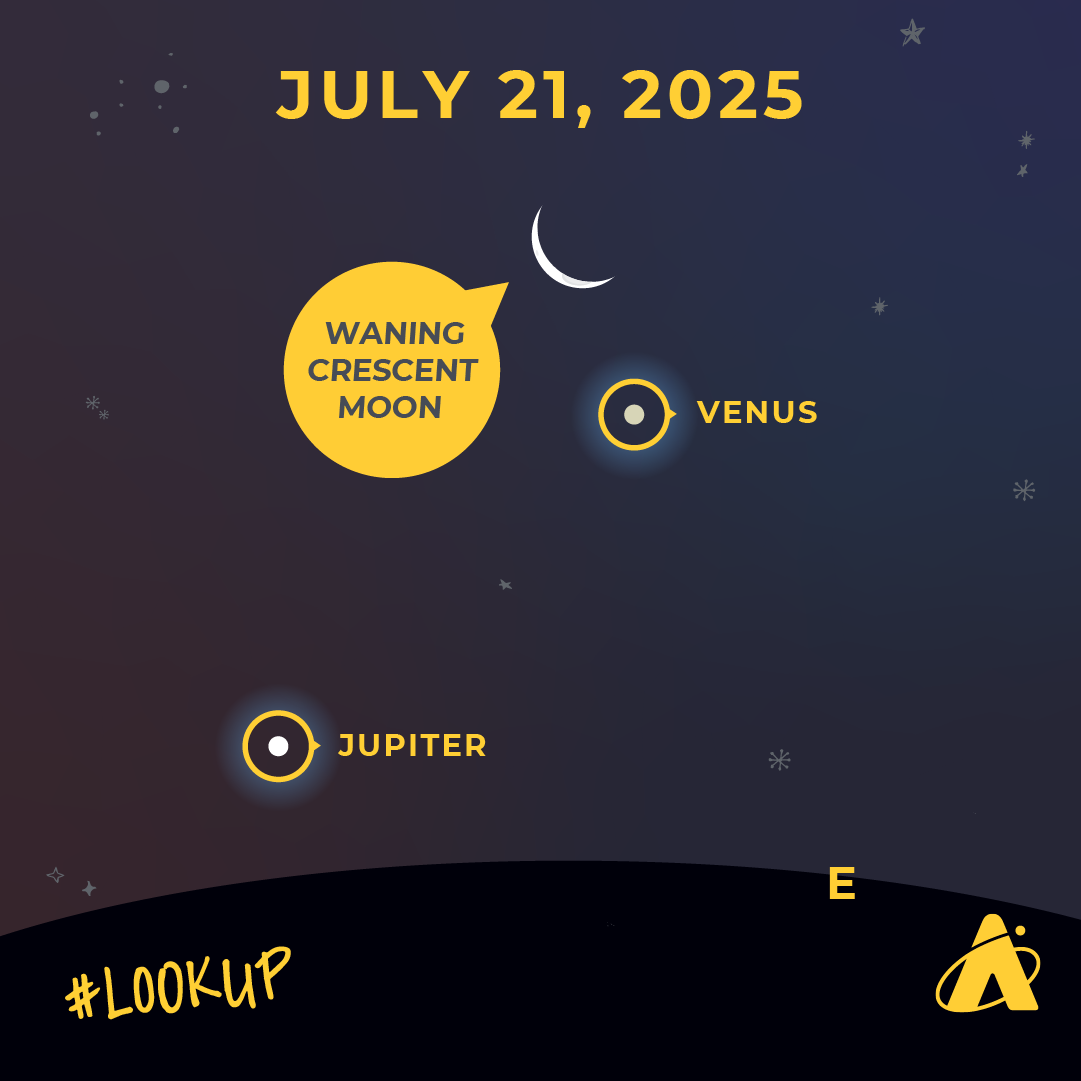 Adler Planetarium infographic depicting the night sky. The header reads “JULY 21, 20245. At the top center of the image, a slim white crescent Moon appears with a yellow label reading “ WANING GIBBOUS MOON.” Slightly below and to the right is a white dot with the yellow label “VENUS.” Closer to the back line representing the eastern horizon is a white dot with a yellow label reading “JUPITER.” #LookUp” and the Adler Planetarium logo appear at the very bottom.