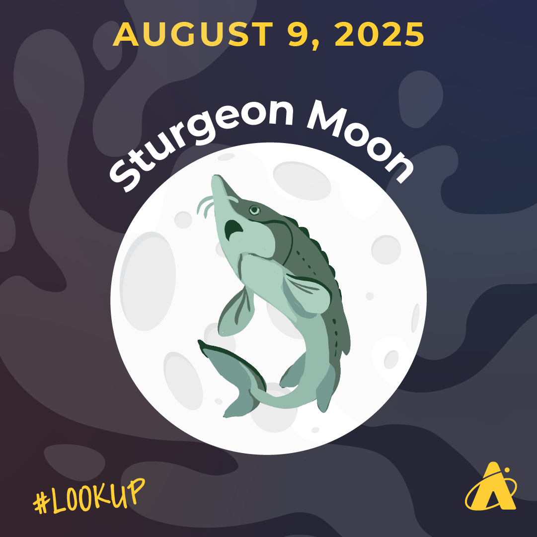 Illustration of a full Moon with a leaping sturgeon fish centered in front of it. Text at the top reads “August 9, 2025” and “Sturgeon Moon” is curved above the Moon. In the bottom corners, the hashtag “#LookUp” appears on the left and the Adler Planetarium’s yellow logo appears on the right. The background is a stylized dark blue and purple sky with abstract water ripple patterns.