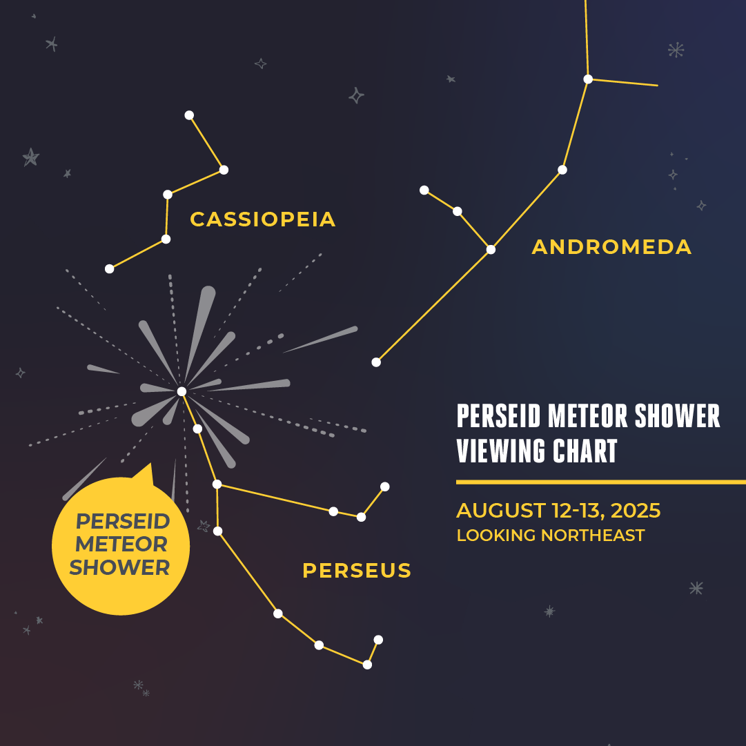 Illustrated star map showing the constellations Cassiopeia, Perseus, and Andromeda in yellow outlines against a dark night sky. Meteors appear radiating the Perseus constellation, with a yellow circle labeling it the “Perseid Meteor Shower.” Text on the right reads: “Perseid Meteor Shower Viewing Chart, August 12–13, 2025, Looking Northeast.”