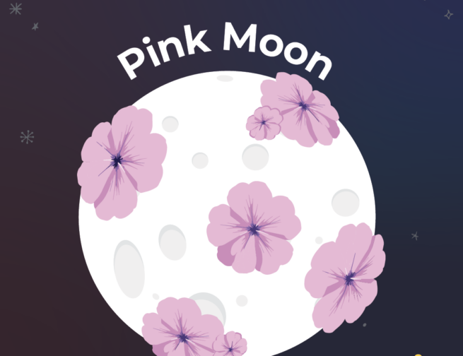 Adler Planetarium infographic labeled “April 1, 2026” showing a full Moon decorated with pink flowers, labeled “Pink Moon,” representing the April full Moon, with the Adler Planetarium logo and “#LookUp” at the bottom.