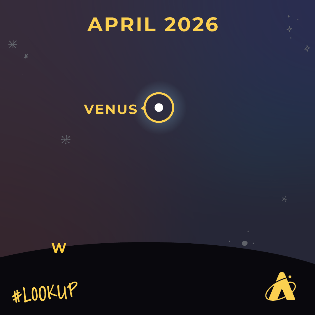 Adler Planetarium sky chart labeled “April 2026” showing Venus bright in the western sky above the horizon, with minimal stars and the Adler Planetarium logo and “#LookUp” at the bottom.