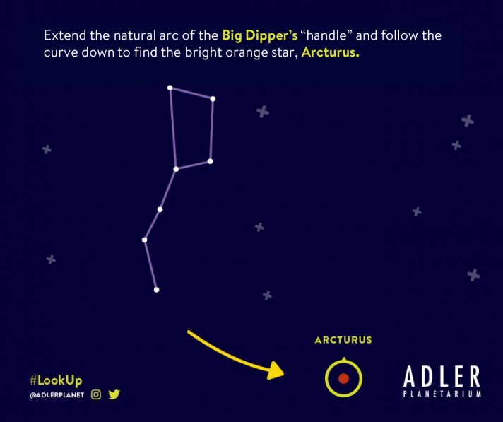 Discover The Big Dipper Adler