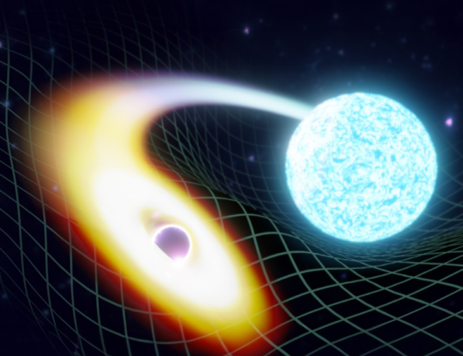 Artistic rendition of a black hole merging with a neutron star. Image credit: LIGO-India/ Soheb Mandhai