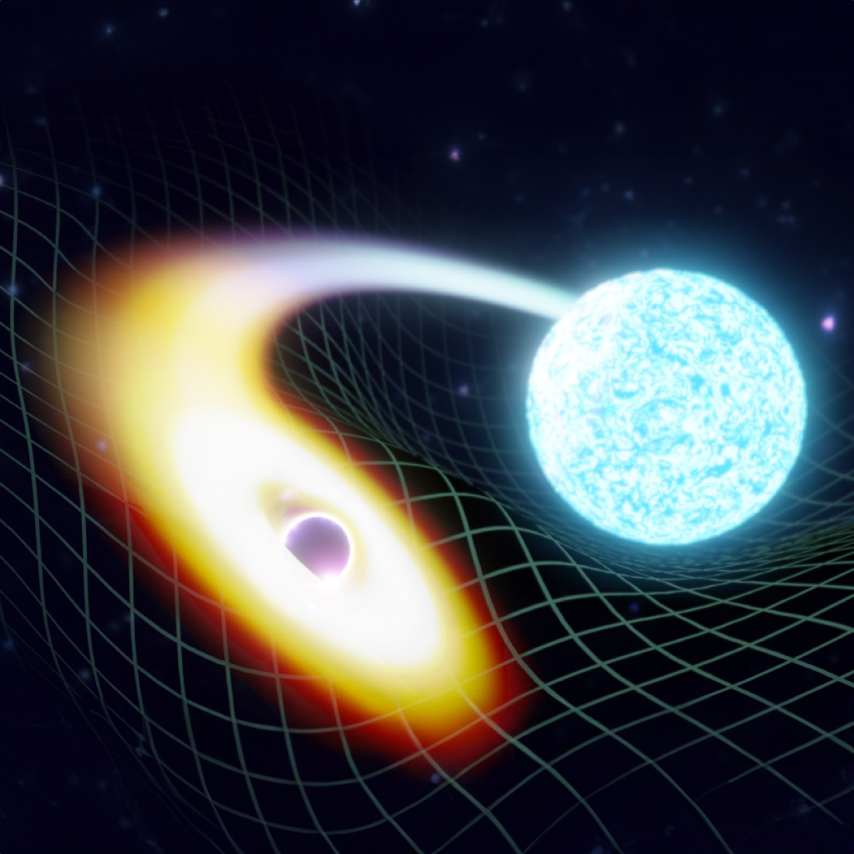 Artistic rendition of a black hole merging with a neutron star. Image credit: LIGO-India/ Soheb Mandhai