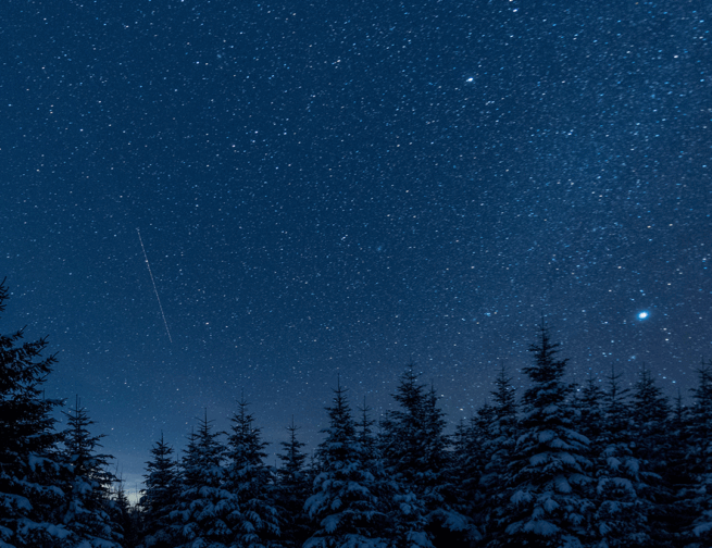A dark, star-filled sky above a snowy, forested landscape.