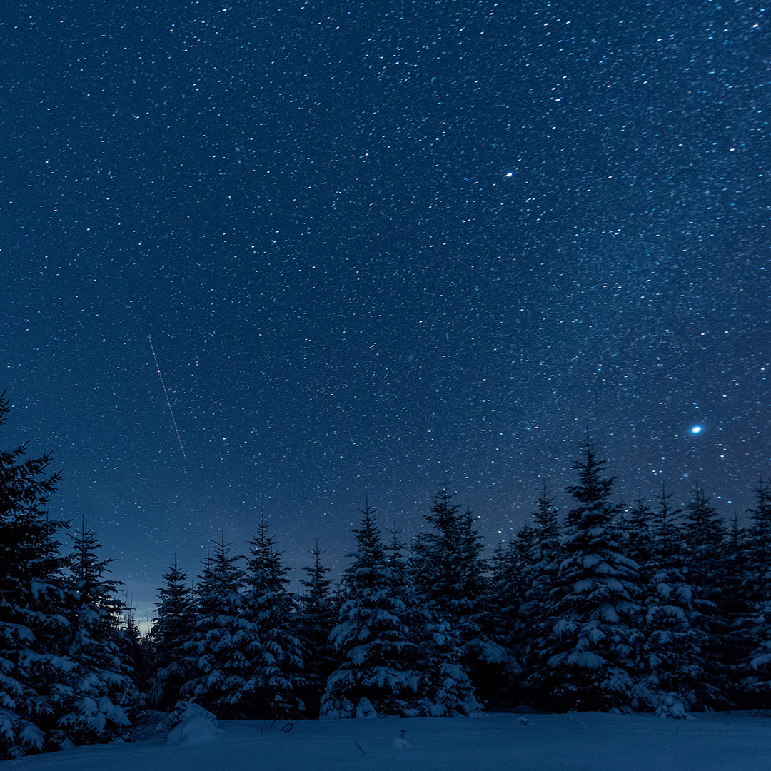 A dark, star-filled sky above a snowy, forested landscape.
