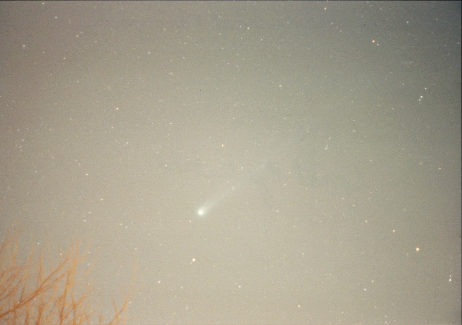 Comet Hyakutake, photo by Michelle Nichols, 26 March 1996, using a Pentax K1000 camera, f2.0, 20 second exposure, taken from the town of West Chicago, IL.