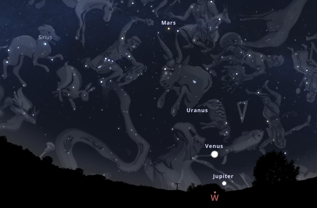 Mars, Uranus, Venus, and Jupiter in the western night sky on 3/14/23, along with illustrations of the constellations, including Orion the Hunter, Sirius, Taurus the Bull, and others. Image via stellarium-web.org