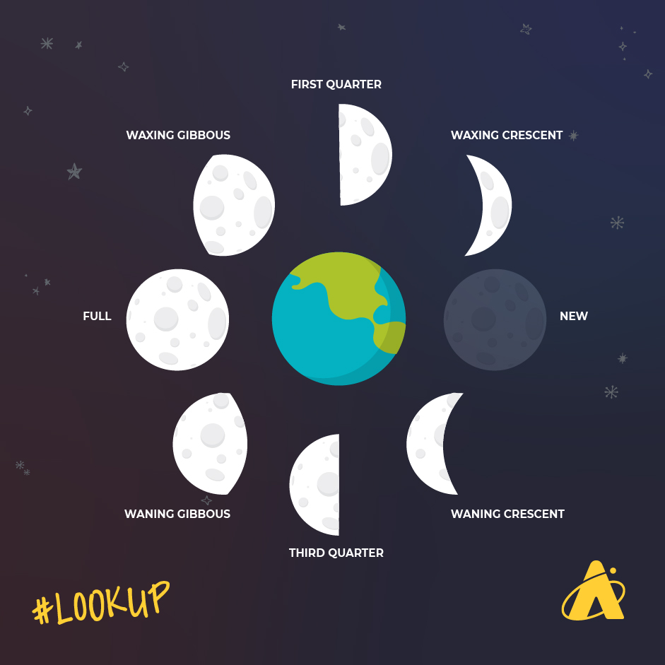 Image Caption: Adler Planetarium infographic displaying the different phases of the Moon.