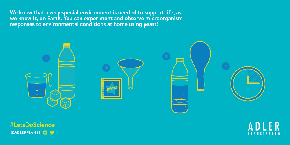 Explore environmental conditions with this Let's Do Science experiment!