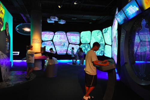 The Adler Planetarium's 'The Universe: A Walk Through Space and Time' Exhibition