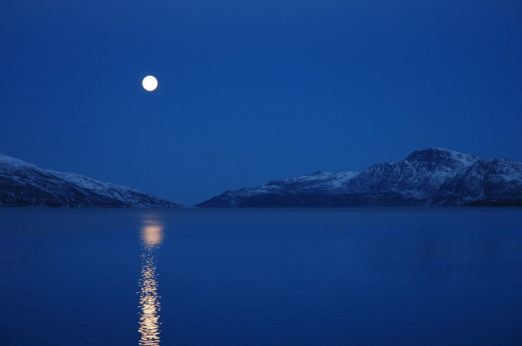 A dark blue night sky with a bright, supermoon in the right third.